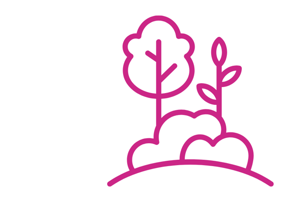 pink outline of trees and clouds on a white background